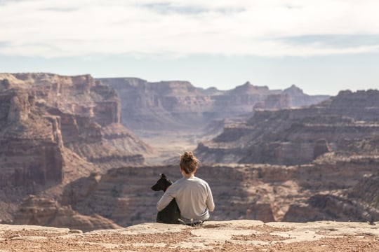 A dog sitting with its owner in front of a large canyon.